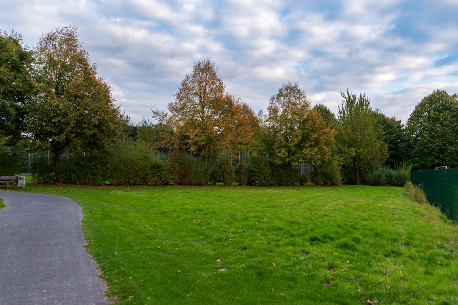 A tranquil autumn park setting with green grass, colorful trees, and a pathway.