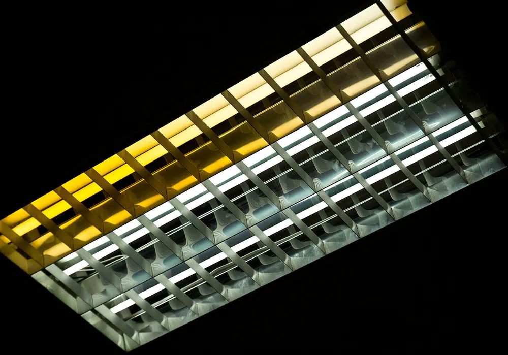 T5- oder T8-Leuchtstoffröhren durch LED ersetzen – Lohnt sich der Umstieg für Unternehmen?