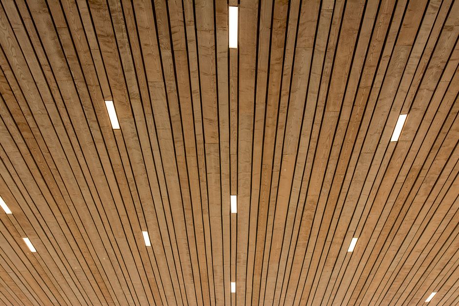 LED-Beleuchtung im Homeoffice: Blendung durch Sommersonne vermeiden LED-Beleuchtung im Homeoffice: Blendung durch Sommersonne vermeiden