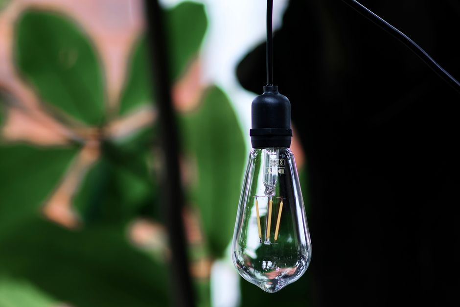 A vintage Edison bulb hanging outdoors in a garden, with blurred green leaves in the background.