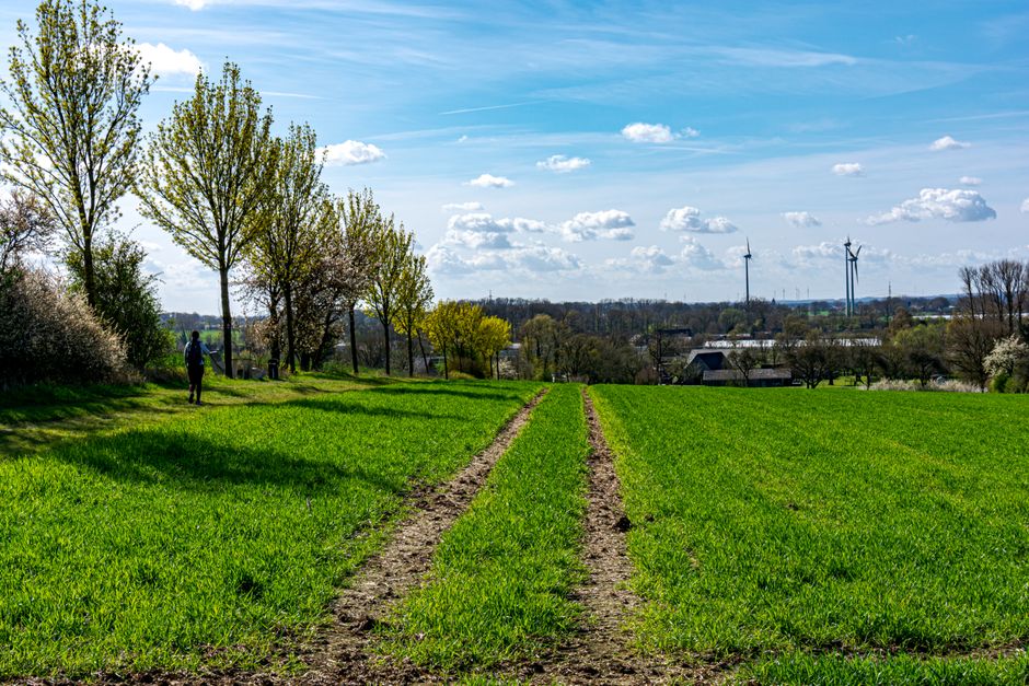 Vibrant spring landscape featuring green fields, trees, and wind turbines in Coesfeld, Germany.