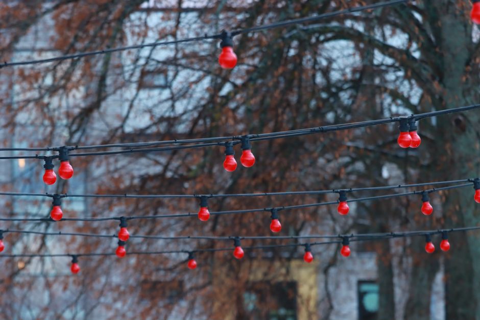 Osterdekoration mit LED-Licht: Ideen für Tisch und Fenster Osterdekoration mit LED-Licht: Ideen für Tisch und Fenster